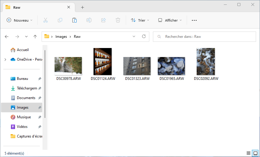 Visionner les miniatures d'image RAW dans l'explorateur Windows